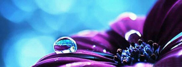 dewdrop_on_purple:email